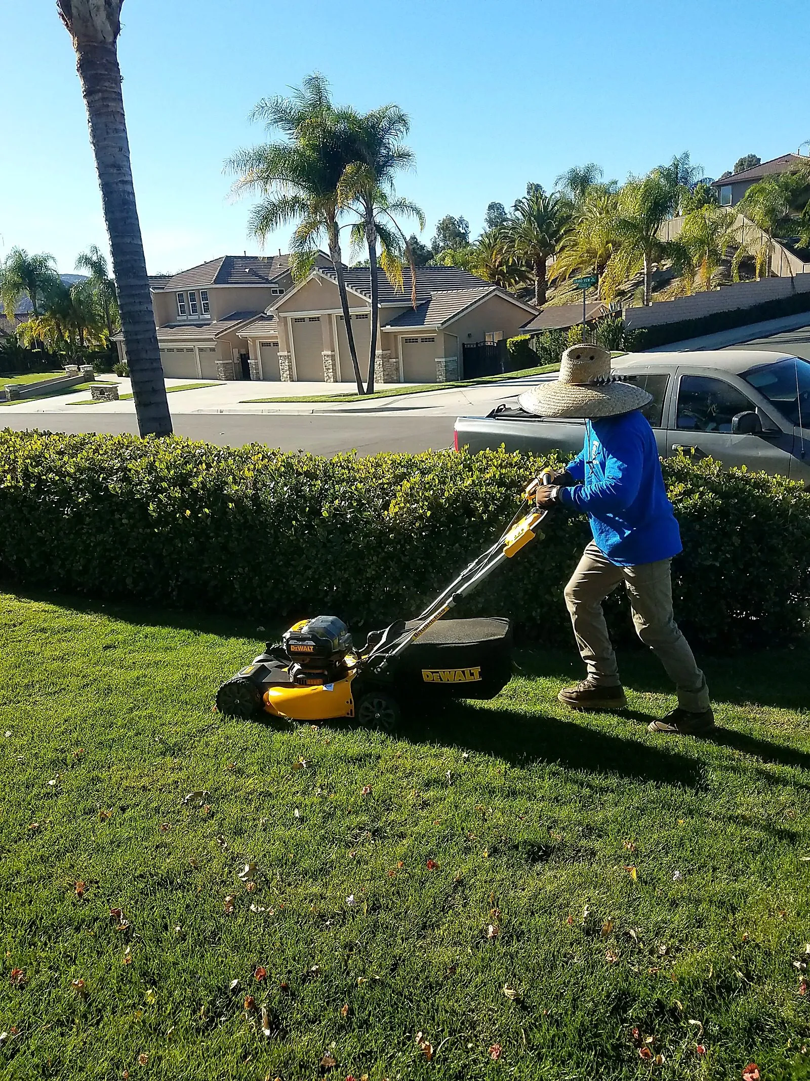 Creation Landscapes crew member mowing a striped green front lawn along a residential street
