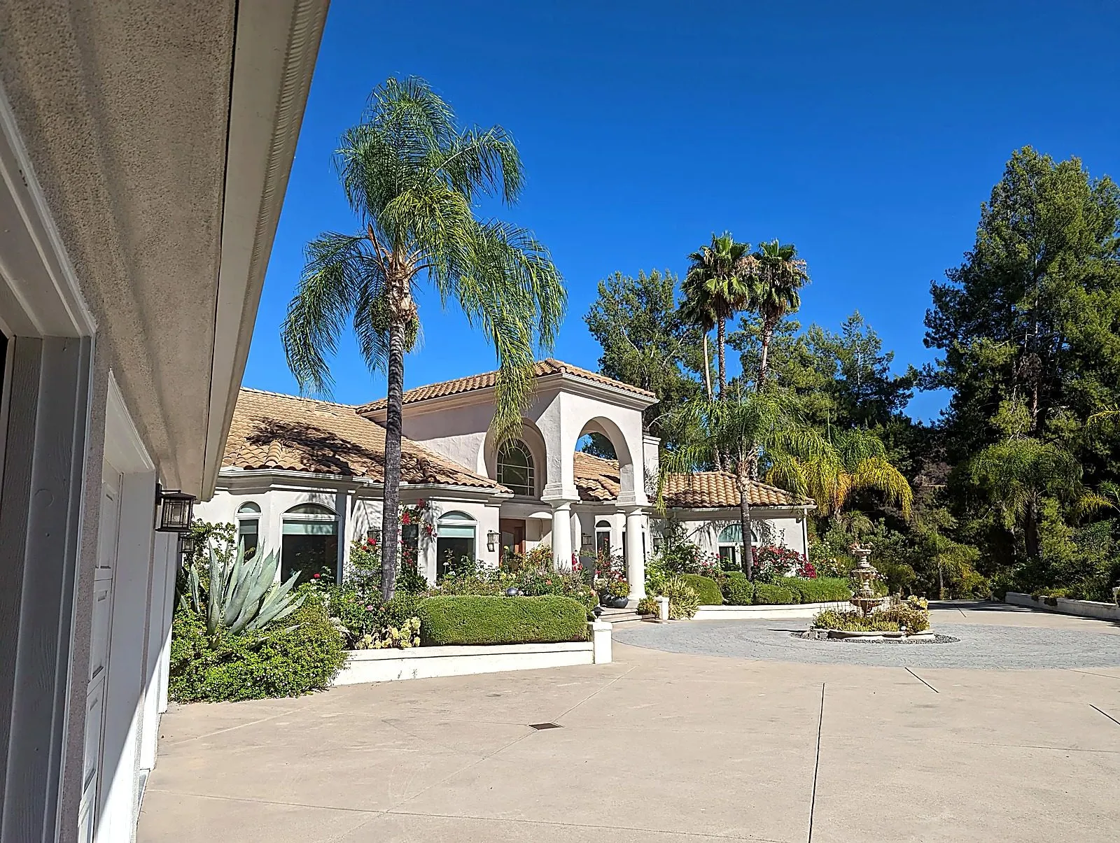 Manicured front yard with trimmed lawn, clean driveway edges and mature palms beside a stucco home